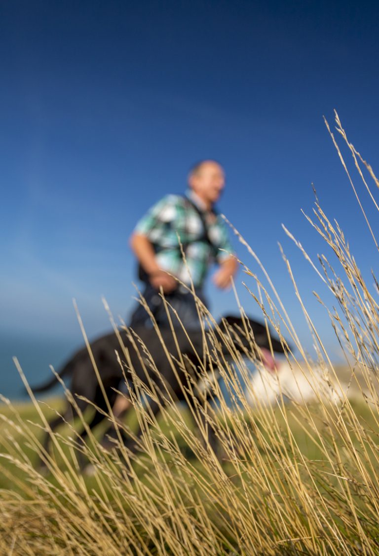 Chien rando Etretat